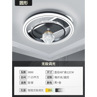 吸頂燈, 48cm